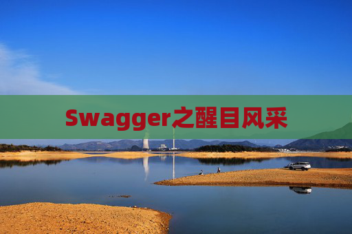 Swagger之醒目风采